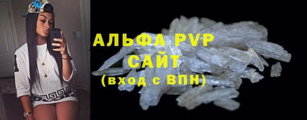 a pvp Пересвет