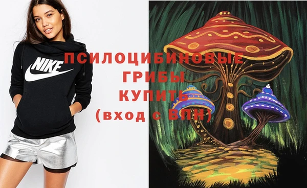 мдма Переславль-Залесский