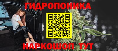 индика Волжск