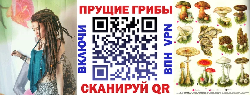 Псилоцибиновые грибы Psilocybine cubensis  наркошоп  Кыштым 