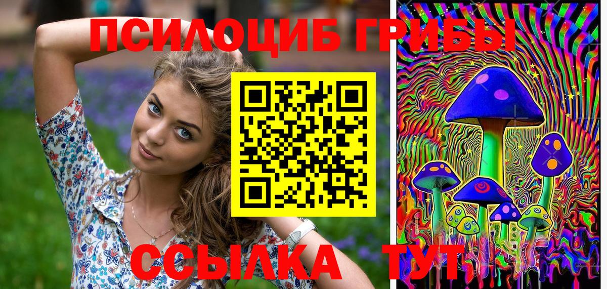 Галлюциногенные грибы Psilocybe  Галлюциногенные грибы Psilocybe  Вход с VPN  Кыштым 