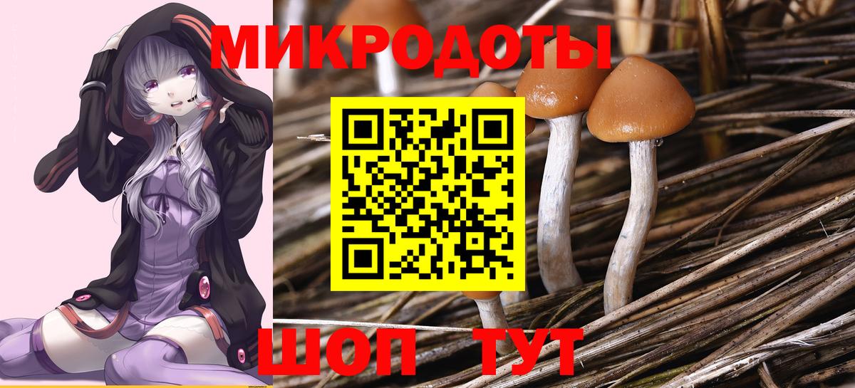 Галлюциногенные грибы прущие грибы Кыштым